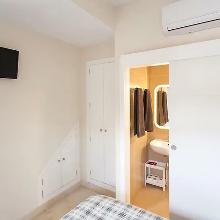 Duplex En La Alameda De Seville
